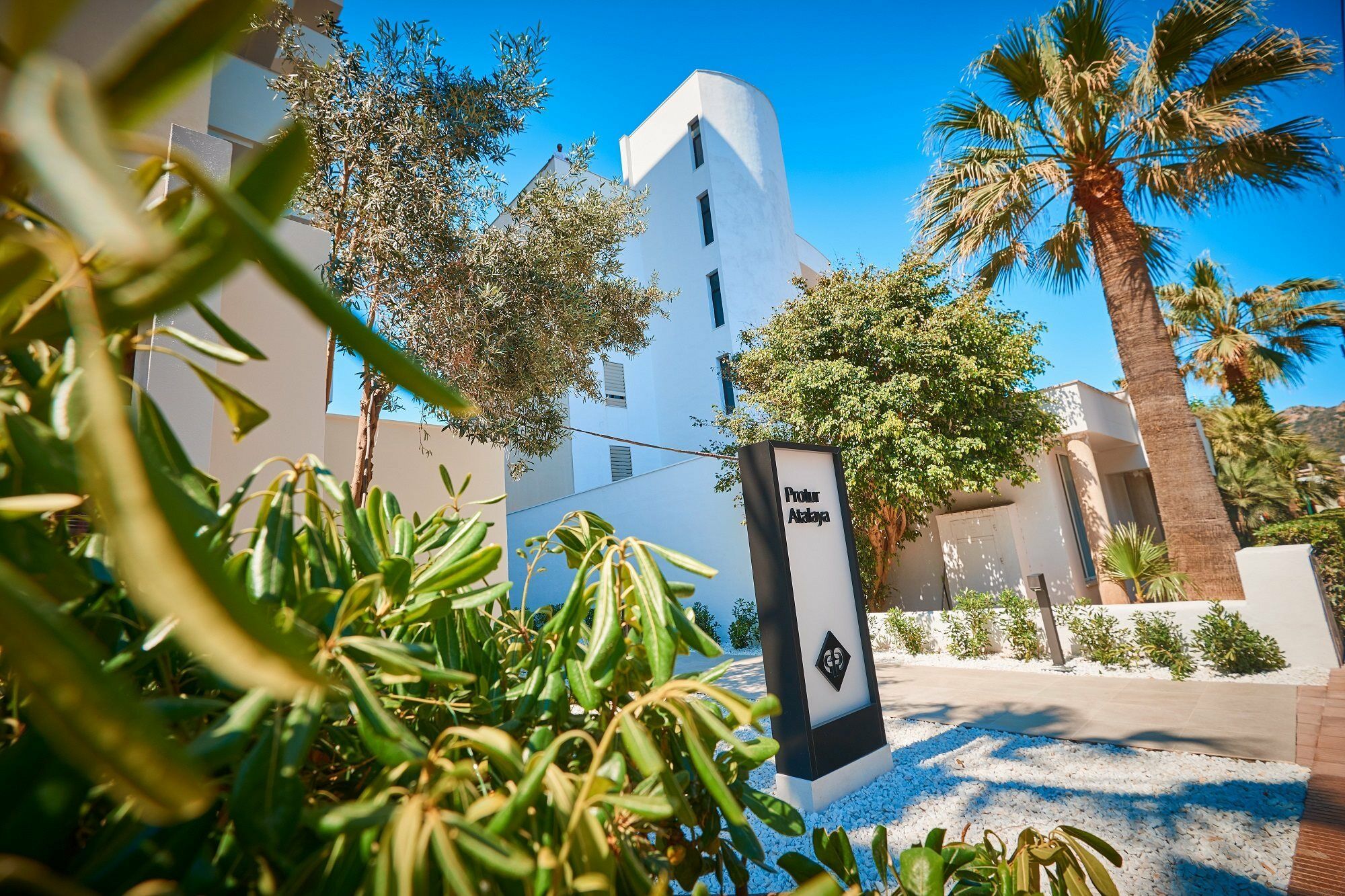 Protur Atalaya Διαμέρισμα Cala Millor  Εξωτερικό φωτογραφία